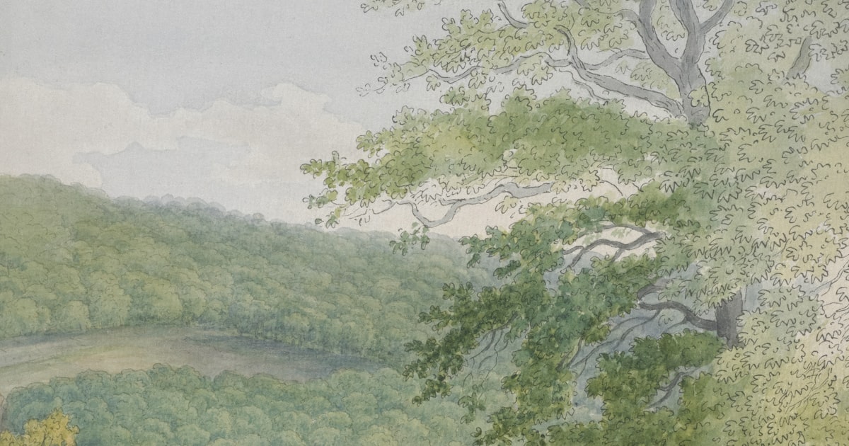 Cover illustration for Five document automation mistakes I see teams make (and how to avoid them)